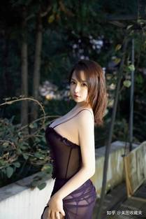 蓝鹭